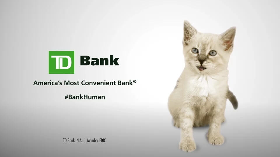 https://hellotierney.com/wp-content/uploads/2016/08/TD-BankHuman-Kitten.jpg